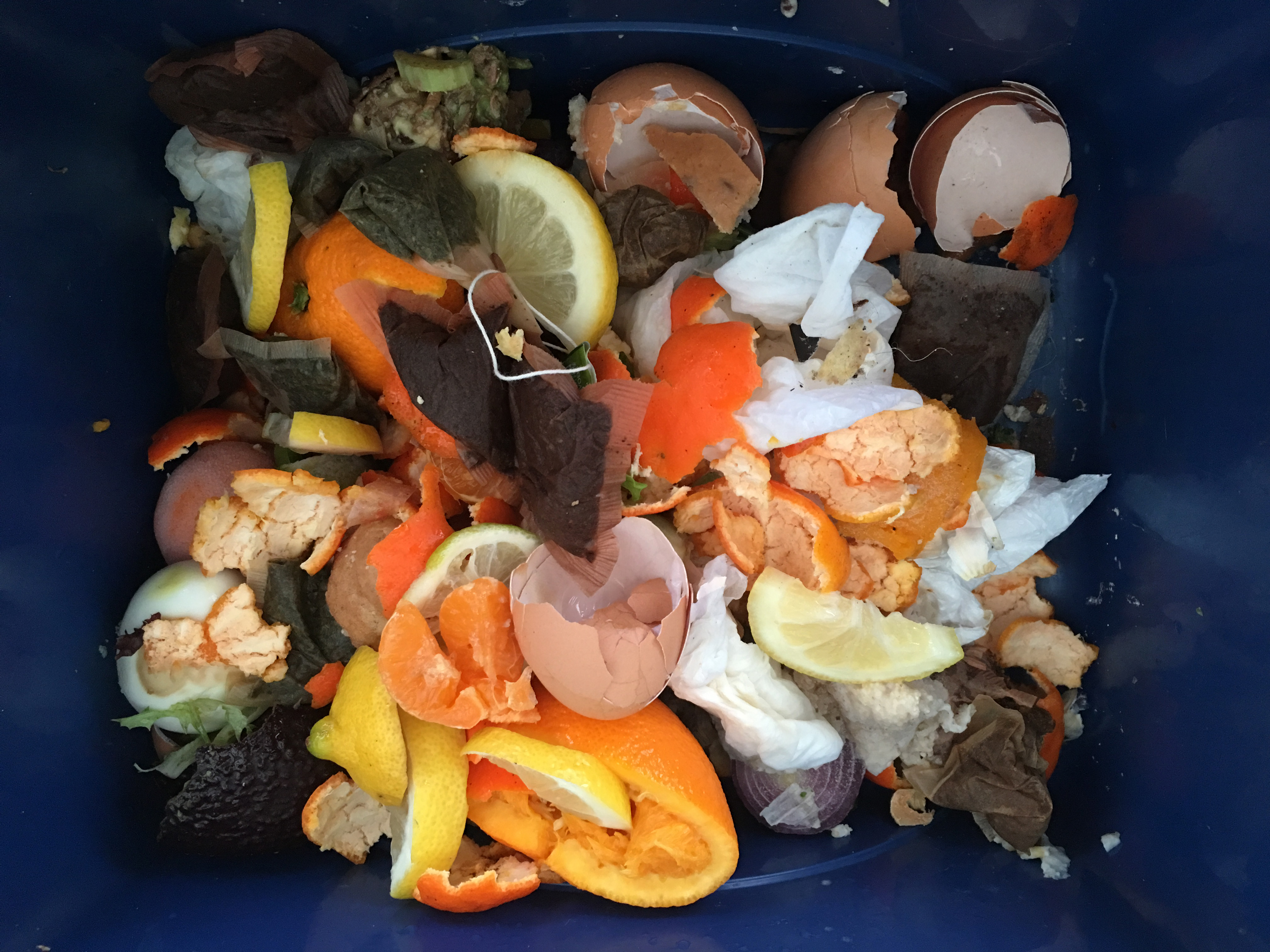  Пищевые и садовые отходы